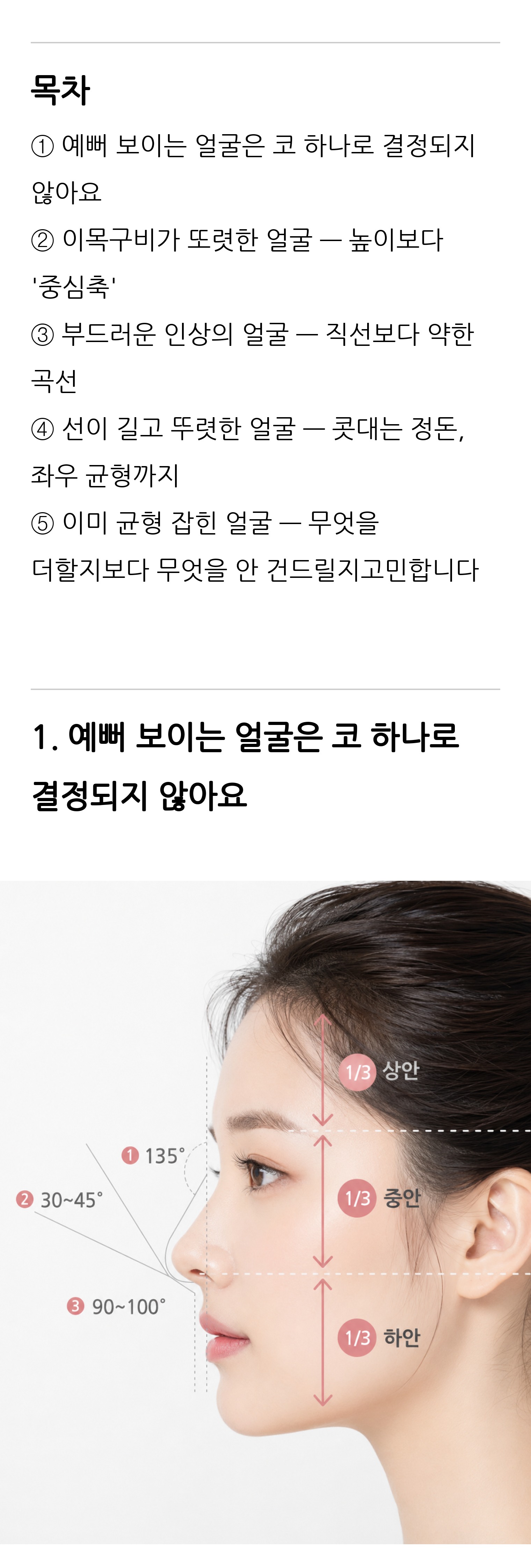 청주 두리이비인후과 비중격만곡증·매부리코 안내 3
