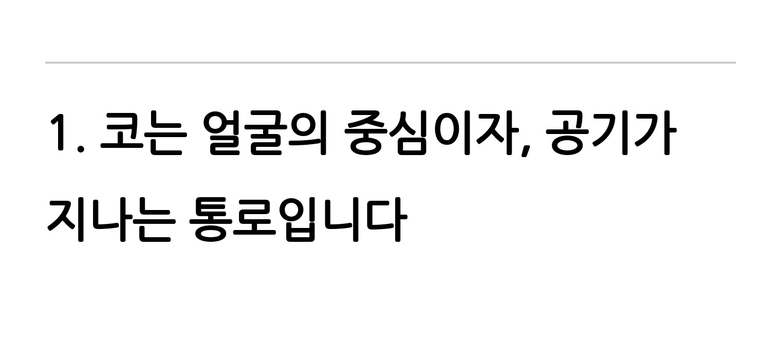 청주 두리이비인후과 비중격만곡증·매부리코 안내 5