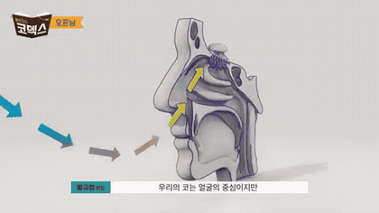 청주 두리이비인후과 비중격만곡증·매부리코 안내 움짤 2